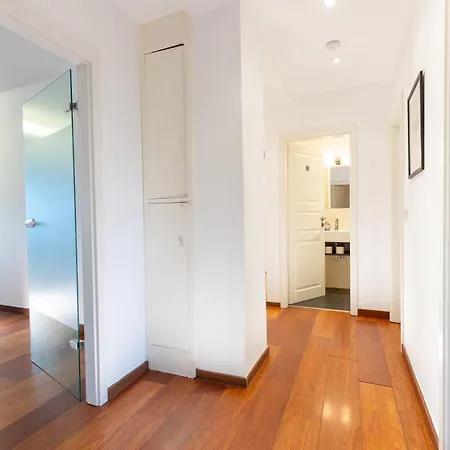 Rhine * Ντίσελντορφ