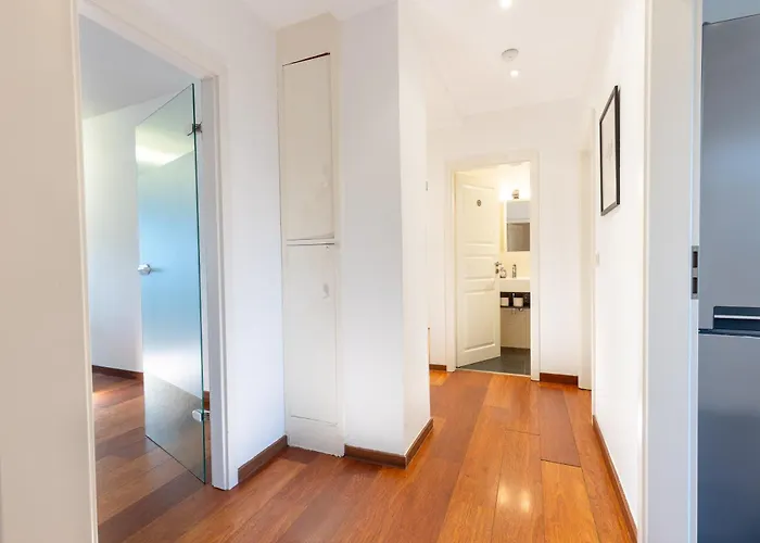 Rhine * Ντίσελντορφ